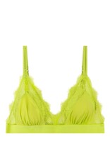 LoveStories Bralette Love Lace Lime