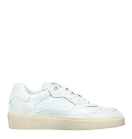 C968 Sneaker Kale Daytona White-White