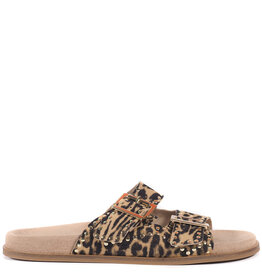 Toral Slipper Selma Arena