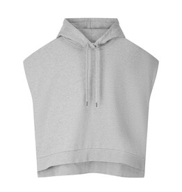 Club L'avenir Sweat Mozes Grey melee