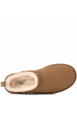 Ugg Ugg W Classic micro Chestnut