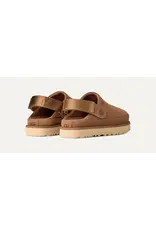 Ugg Goldenstar Chestnut