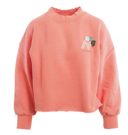 Newtone Sweatshirt Porter francis Corail