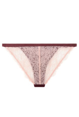 LoveStories Brief Wild Rose Burgundy