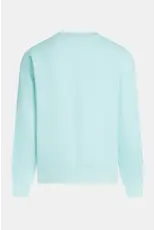 Penn & Ink N.Y. P&I Sweater S26F1880LTD print Pastel blue aqua