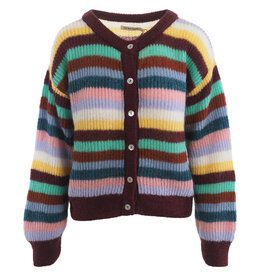 The New Society Cardigan Julia Winetesting stripe