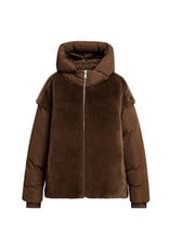 Essentiel Antwerp  Jacket Kbeauty  Bear me