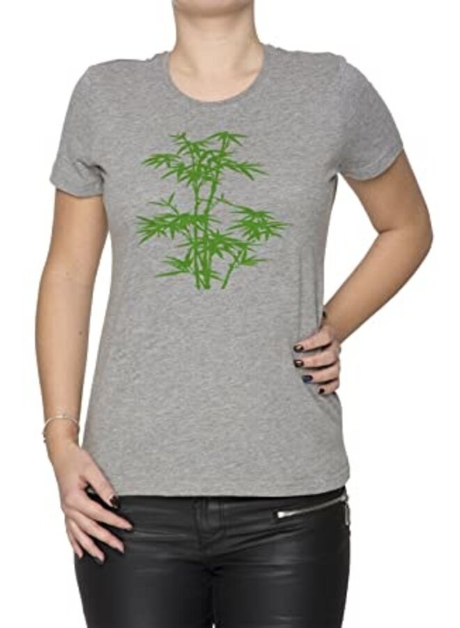 Bamboo Raglan T-Shirt - grau
