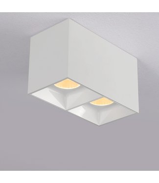 Opbouwspot | LED | Tweevoudig | Vierkant | Dimbaar | Wit