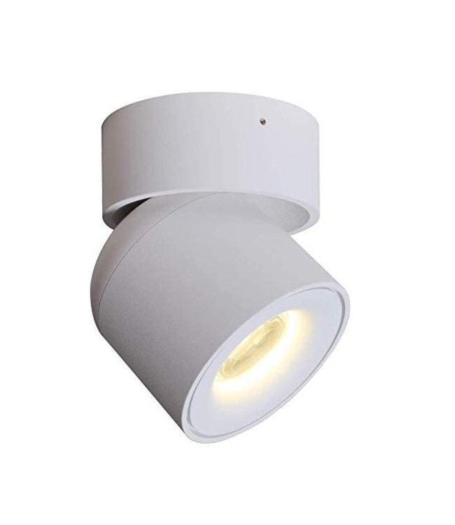 Opbouwspot | LED | Opbouw | Dimbaar | 360 graden | Wit