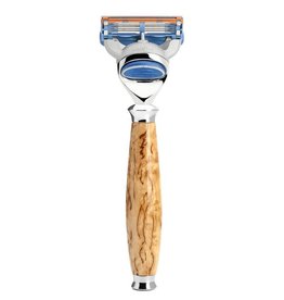 R55F - Gillette Fusion® - Maserbirke