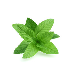 Lip Balm 15g Peppermint