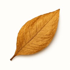 Tobacco Leaf Aftershave Cream 75Ml