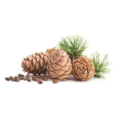 Scheercrème Cedarwood 75 g