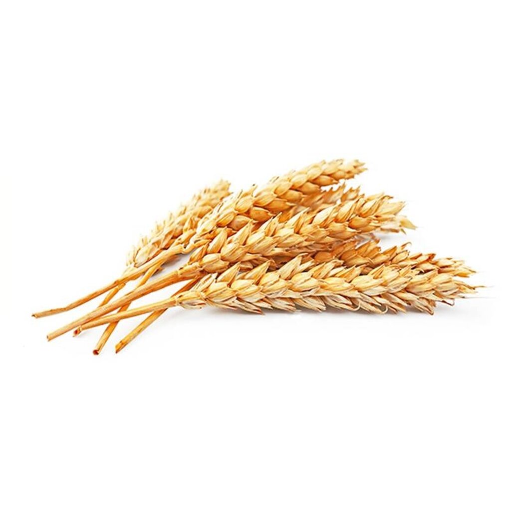 Highland Spring Baard Olie 50ml