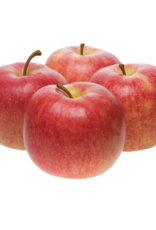 Appels Jonagold / Jonagored per kg