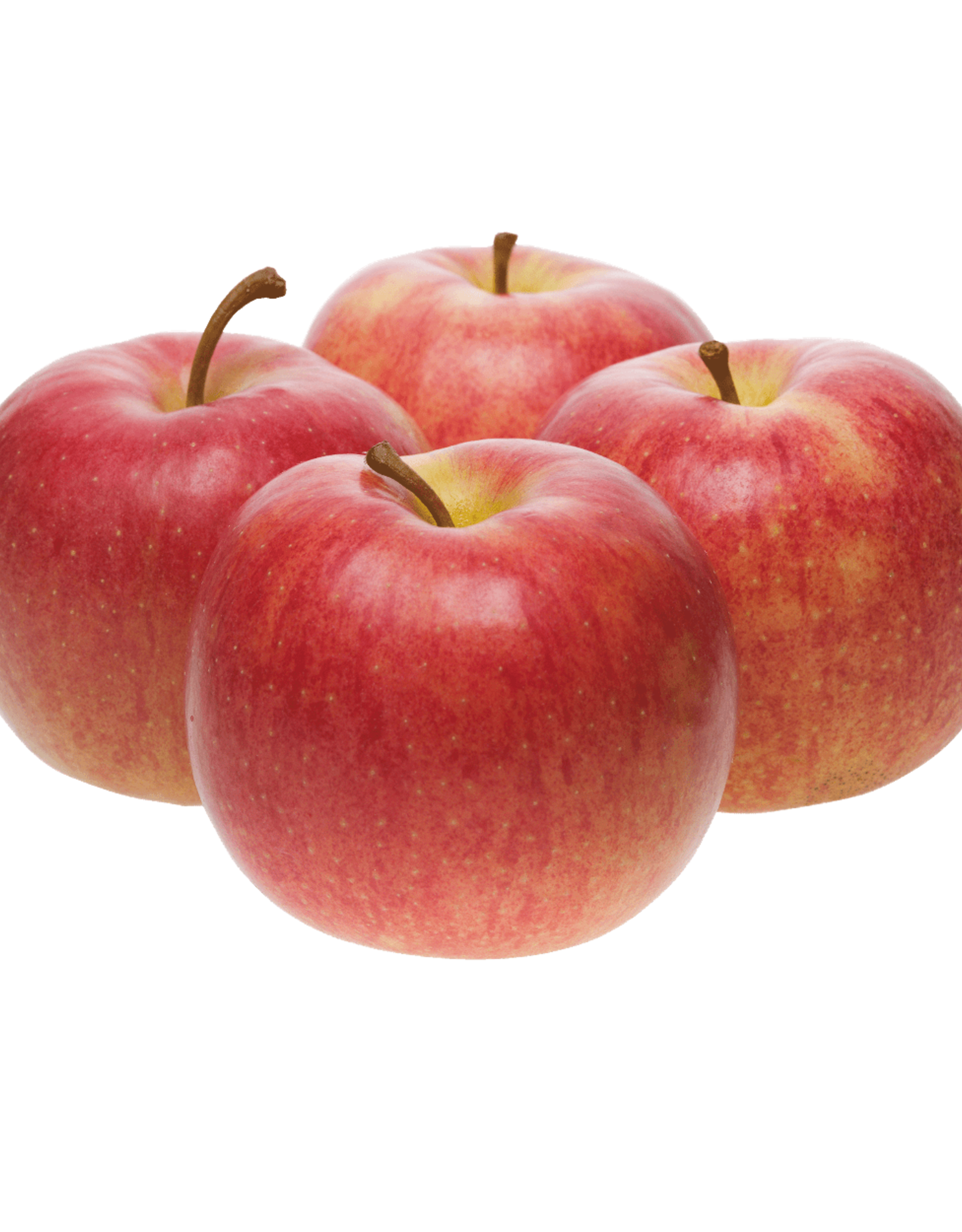 Appels Jonagold / Jonagored per kg