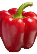 Paprika rood, geel of groen per stuk