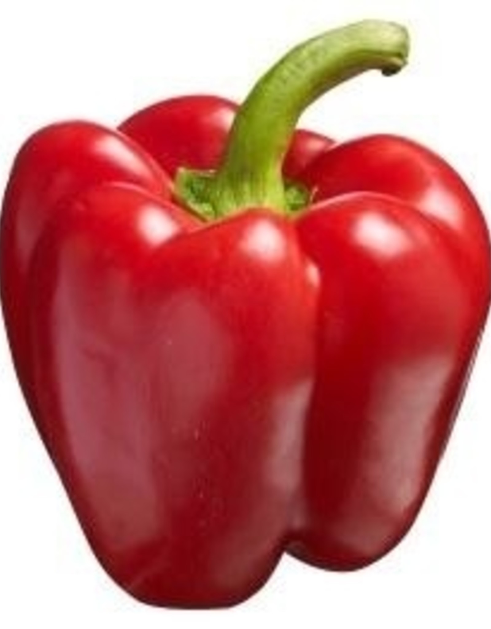 Paprika rood, geel of groen per stuk