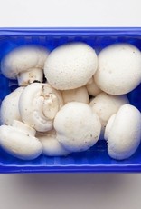 Champignons 250 gr