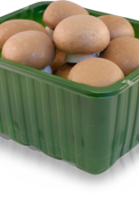 Champignons Kastanje 250 gr