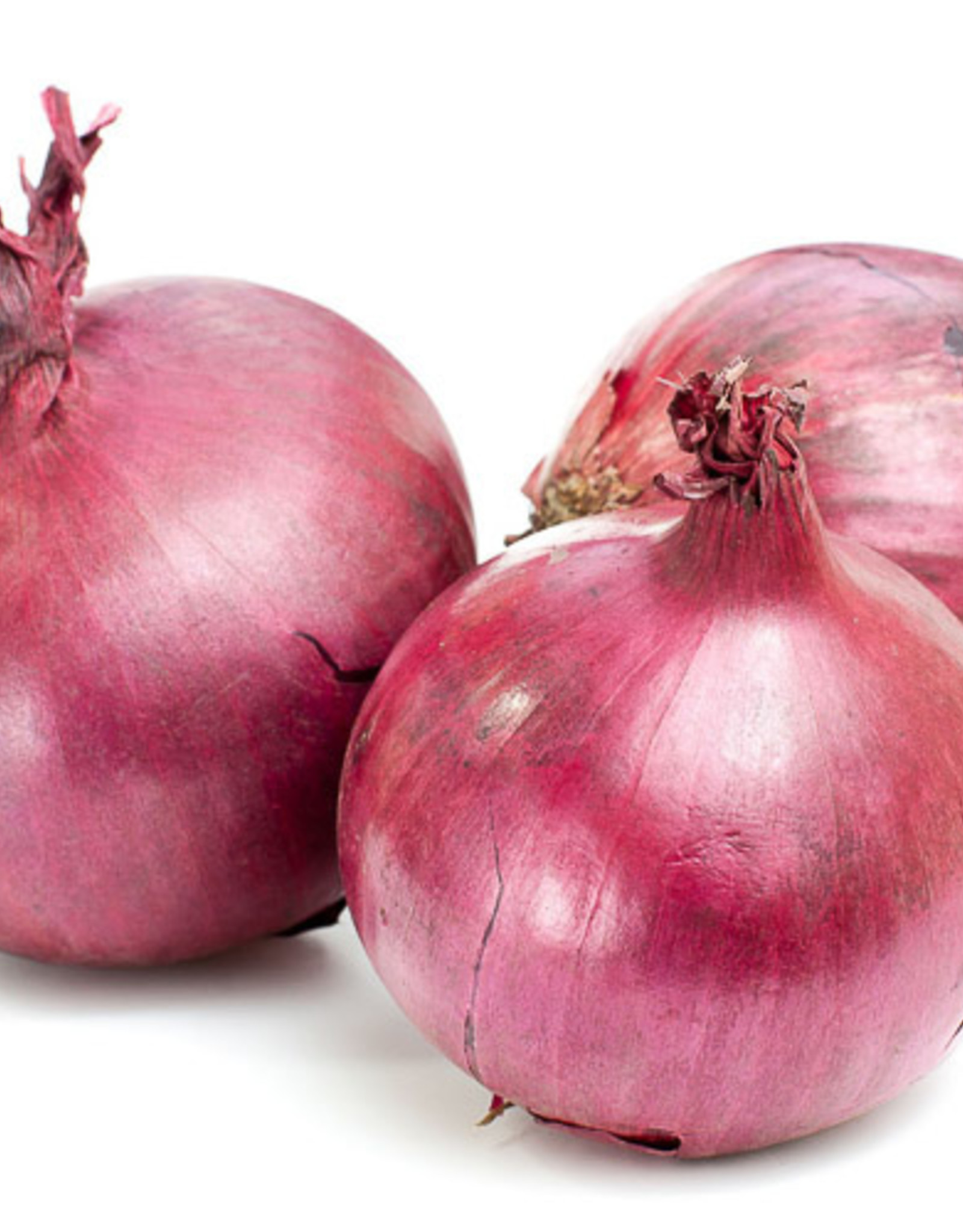 uien rood per kg