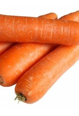 Winterpeen, lekker in stamppot