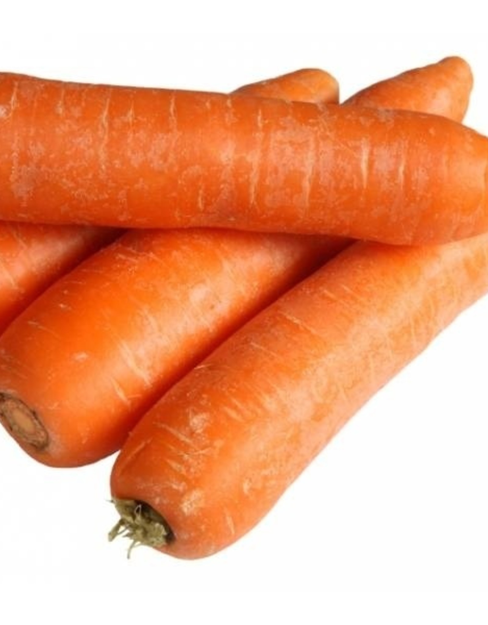 Winterpeen, lekker in stamppot