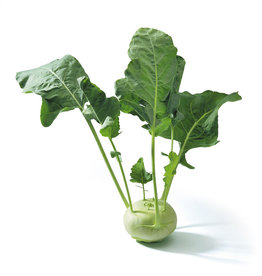 Koolrabi, groot, per stuk