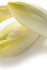 Witlof, grondteelt per kg