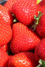 Aardbeien per doosje 500 g