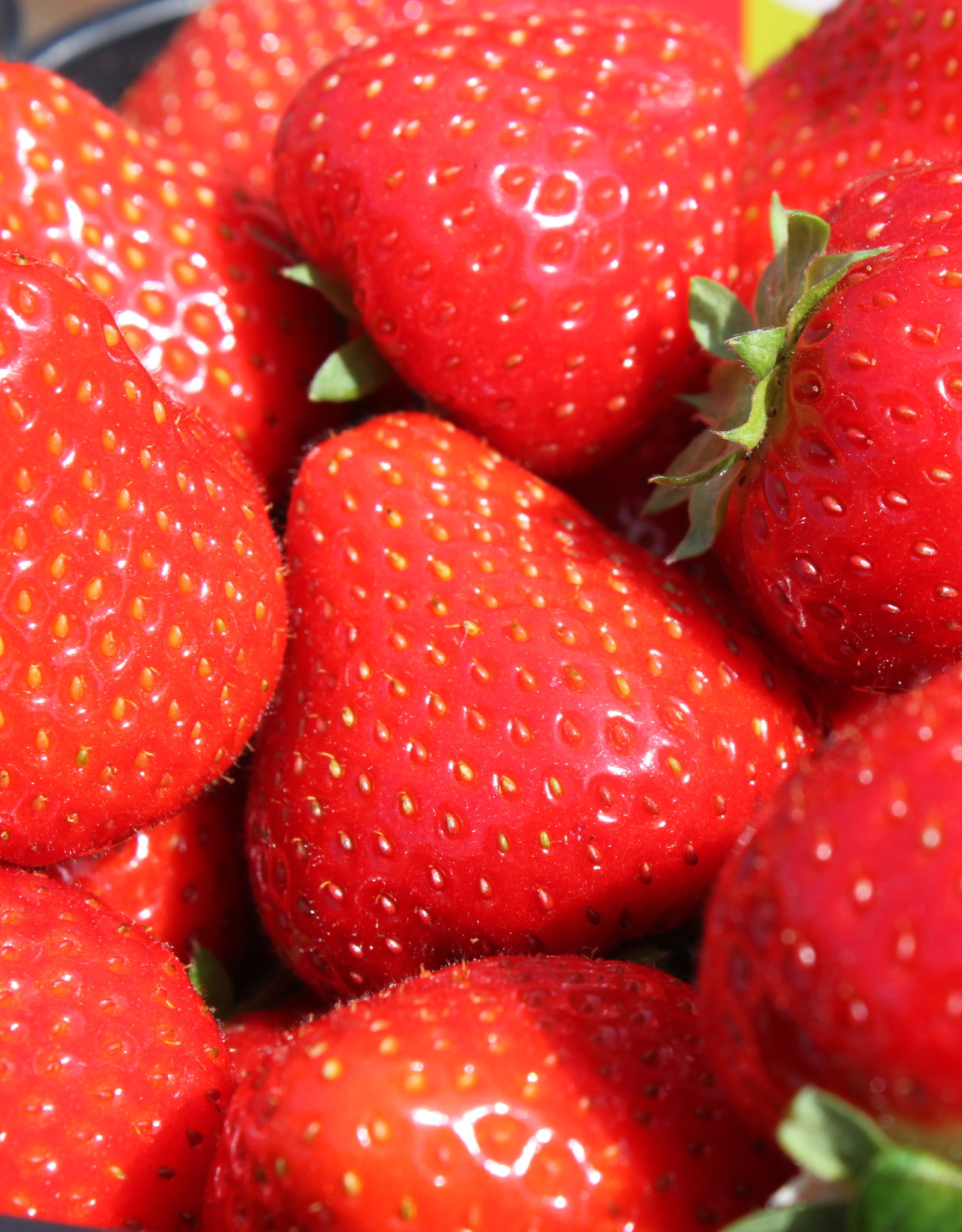 Aardbeien per doosje 500 g