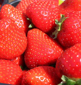 Aardbeien per doosje 400 g