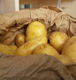 Aardappels Nicola (nieuwe oogst) per kilo