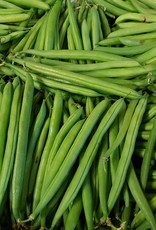 Hollandse sperzieboontjes per 500 gr