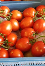 Trostomaten "Elite"(groot) per 500 gr