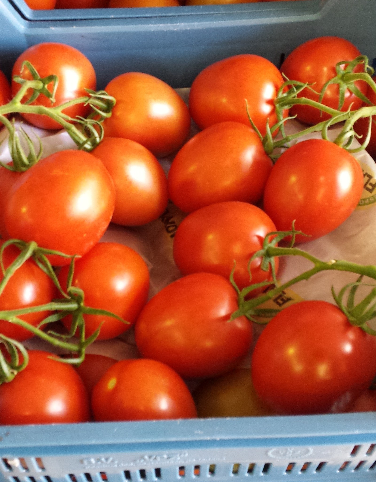 Trostomaten "Elite"(groot) per 500 gr