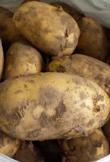 Frieslanders - NIEUW