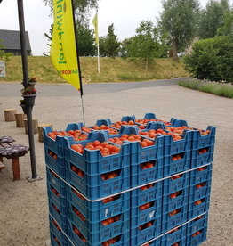 vleestomaten per 500 gram