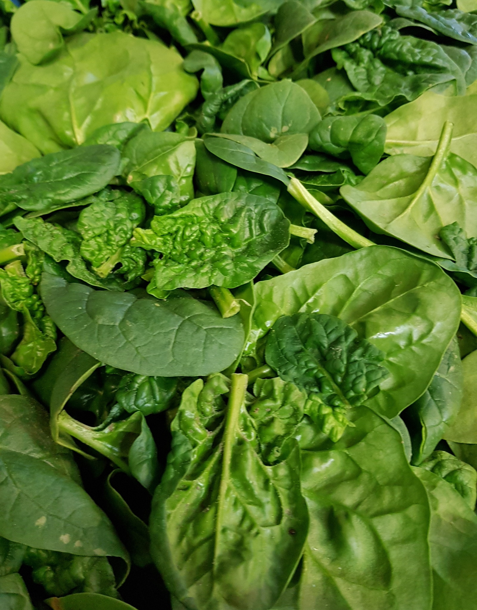 Spinazie per 500 gram