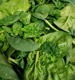 Spinazie, panklaar, per 500 gram