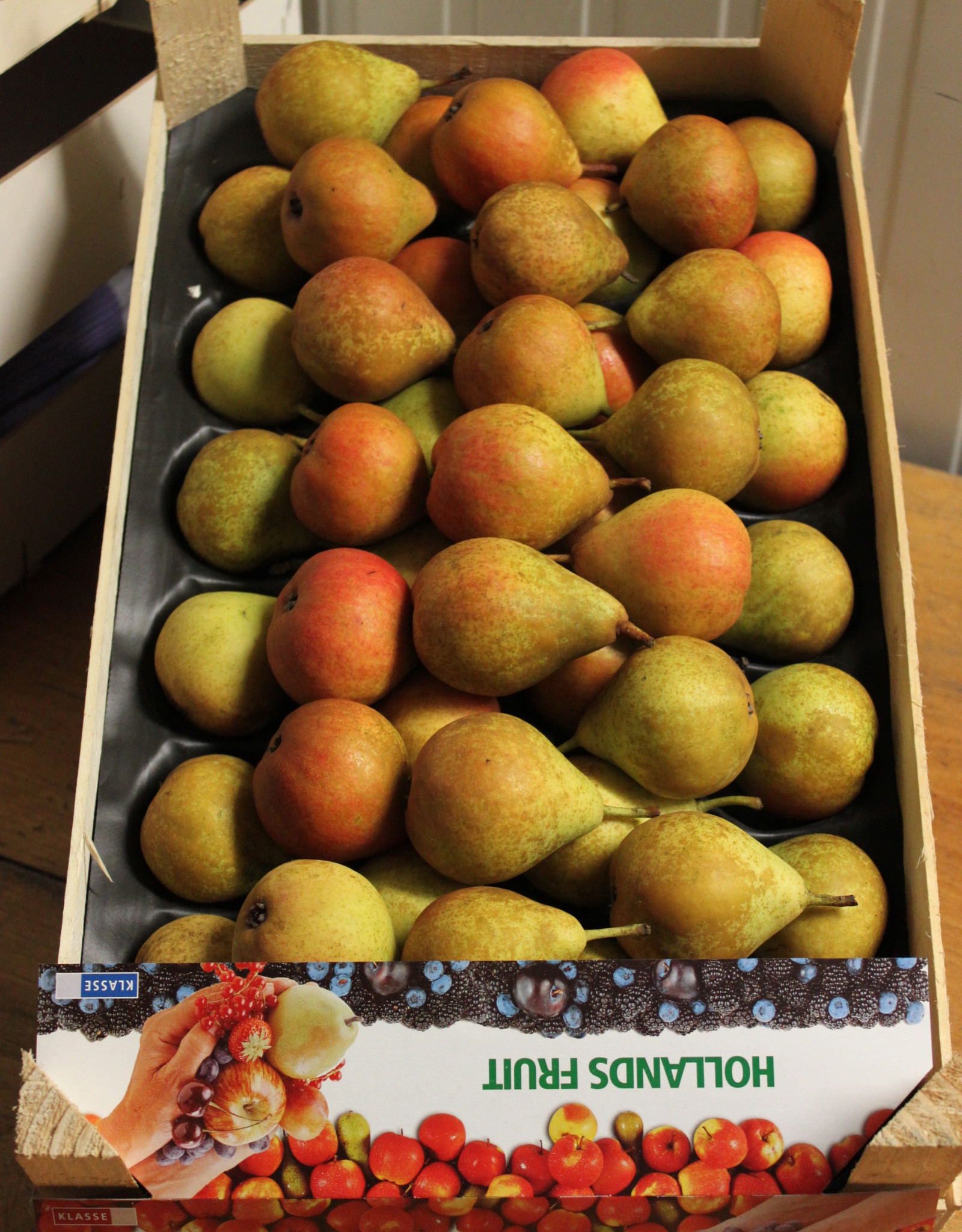 Stoofperen Gieser Wildemann