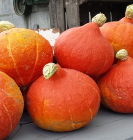 Pompoen, biologisch per kg