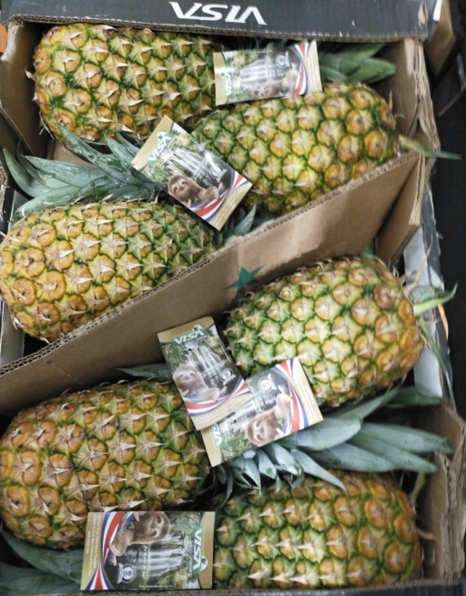 Ananas per stuk