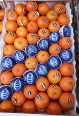 Clementinen per 15 stuks
