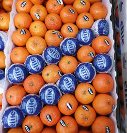 Clementinen per 15 stuks