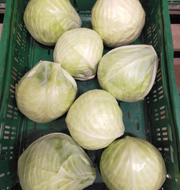 Witte kool per kg