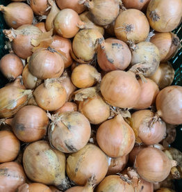uien per kilo