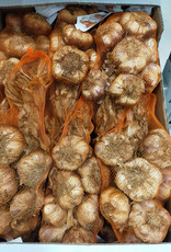 Knoflook, gerookt, per stuk