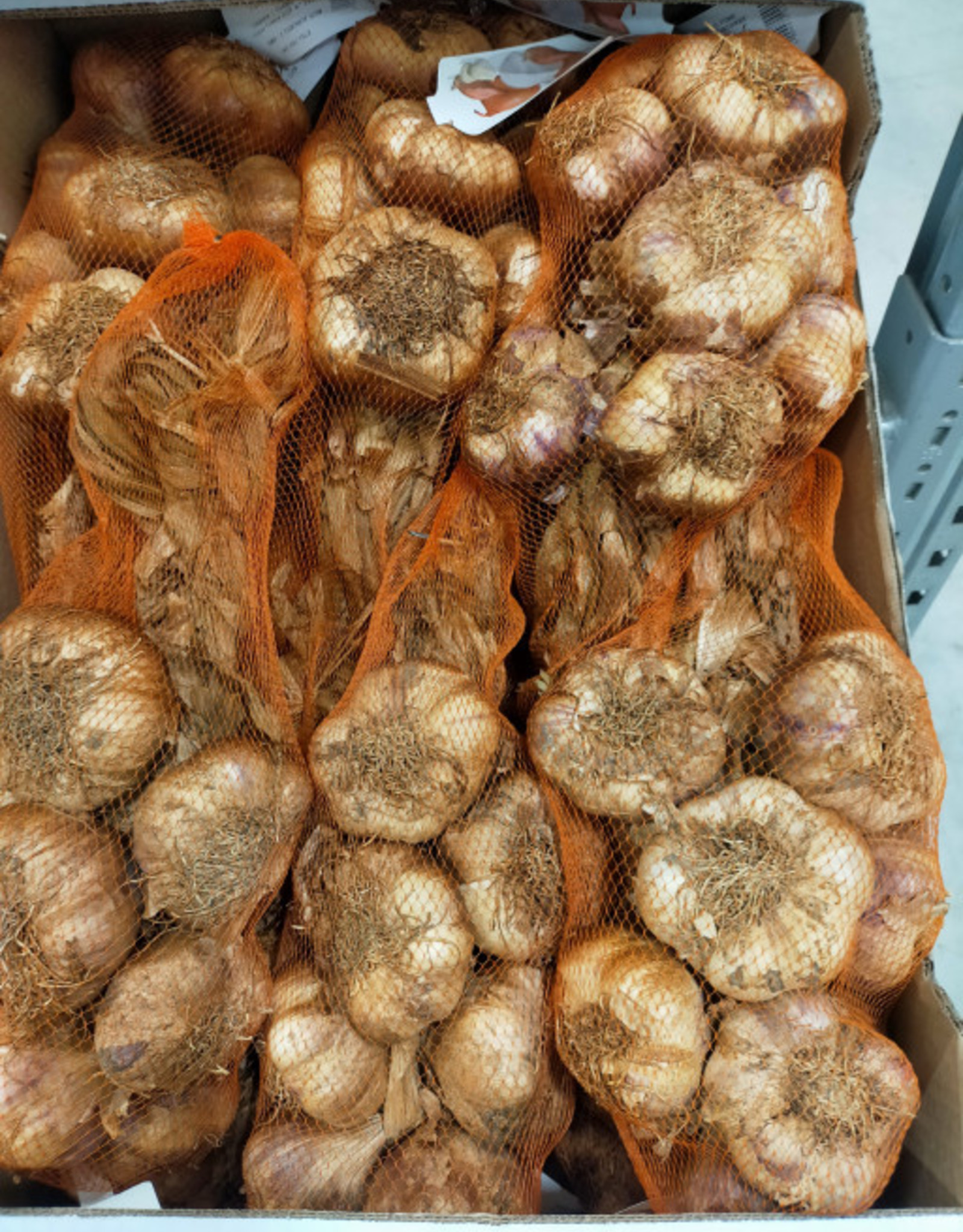 Knoflook, gerookt, per stuk